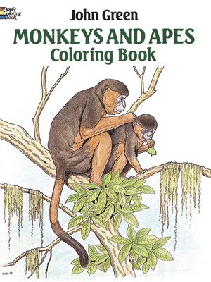 bokomslag Monkeys and Apes Coloring Book