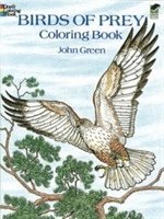 Birds of Prey Coloring Book 1