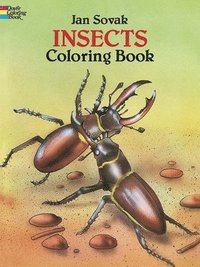 bokomslag Insects Coloring Book