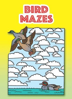 bokomslag Bird Mazes