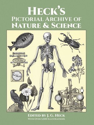 bokomslag Heck's Iconographic Encyclopedia of Sciences, Literature and Art: Pictorial Archive of Nature and Science v. 3