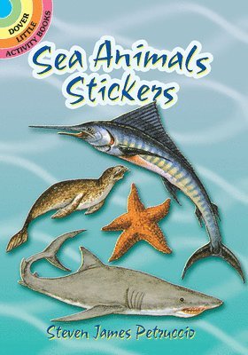 bokomslag Sea Animals Stickers