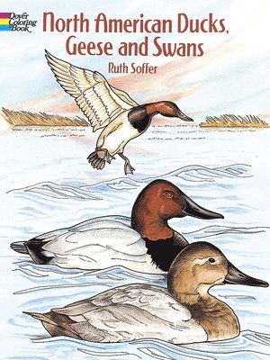 bokomslag North American Ducks, Geese and Swans