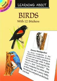 bokomslag Learning About Birds