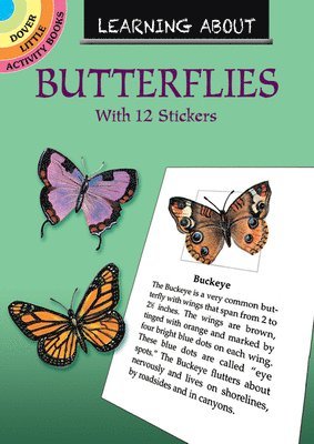 Learning About Butterflies 1