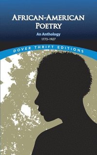 bokomslag African-American Poetry
