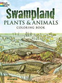 bokomslag Swampland Plants and Animals Coloring book