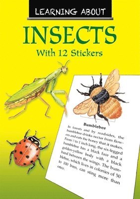 Learning About Insects
