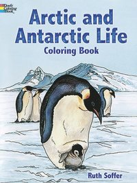 bokomslag Arctic and Antarctic Life Coloring Book