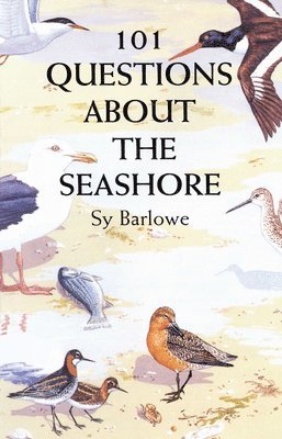 bokomslag 101 Questions About Seashore