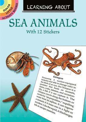 Learning About Sea Animals 1