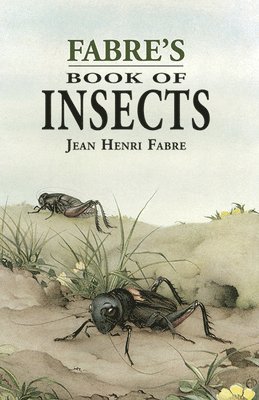 Jean Henri Fabre - Fabre'S Book of Insects, Häftad