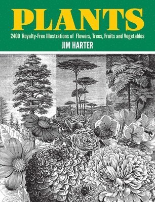 Jim Harter, Jim Harter - Plants, Häftad