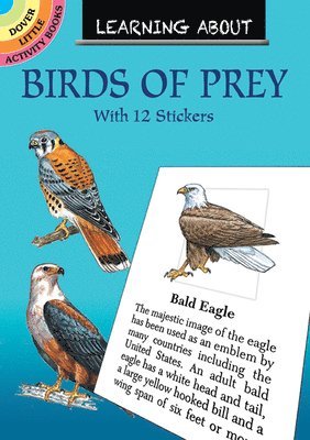 Learning About Birds of Prey 1