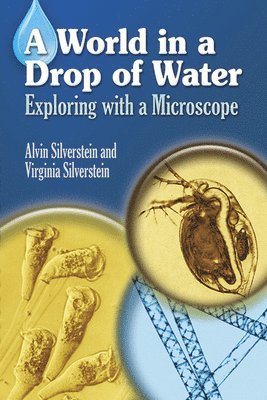 bokomslag Silverstein'S World in a Drop