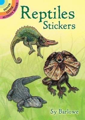 bokomslag Reptile Stickers