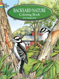 bokomslag Backyard Nature Coloring Book