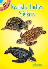 bokomslag Realistic Turtles Stickers