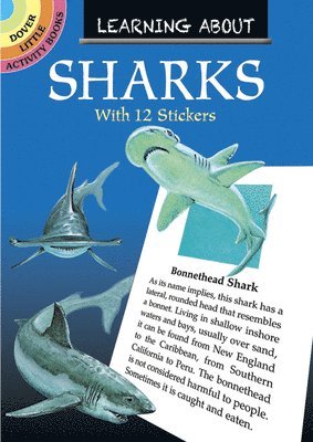 Learning About Sharks 1