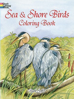 bokomslag Sea Shore Birds