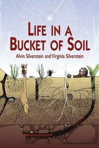 bokomslag Life in a Bucket of Soil