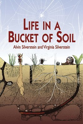 Life in a Bucket of Soil 1