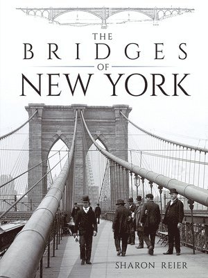 The Bridges of New York 1