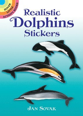 Realistic Dolphins Stickers 1