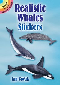 bokomslag Realistic Whales Stickers