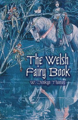 bokomslag The Welsh Fairy Book