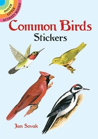bokomslag Common Birds Stickers