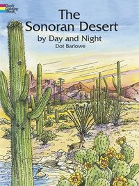 bokomslag Sonoran Desert by Day and Night