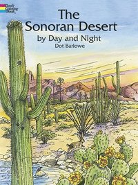 bokomslag Sonoran Desert by Day and Night