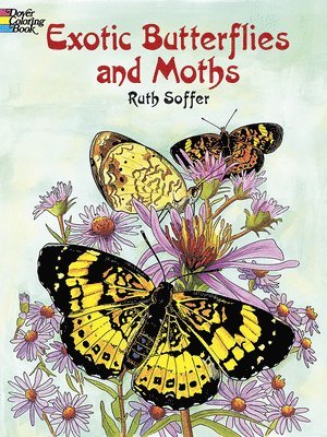 Exotic Butterflies and Moths Cb 1