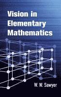 bokomslag Vision in Elementary Mathematics