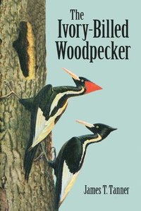 bokomslag The Ivory-Billed Woodpecker
