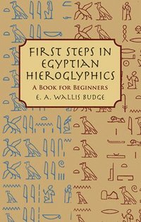 bokomslag First Steps in Egyptian