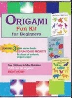bokomslag Origami Fun Kit for Beginners