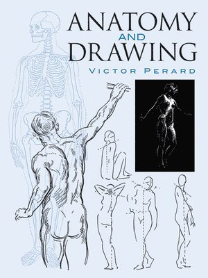 bokomslag Anatomy and Drawing