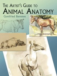 bokomslag The Artist's Guide to Animal Anatomy