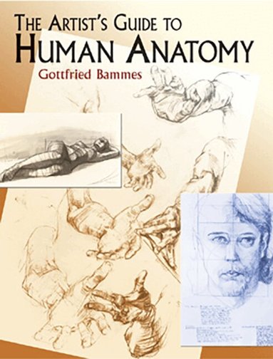 Gottfried Bammes - Artist's Guide to Human Anatomy, Häftad