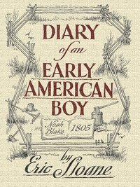 bokomslag Diary of an Early American Boy