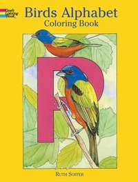 bokomslag Birds Alphabet