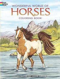 bokomslag Wonderful World of Horses Coloring Book