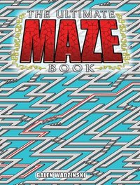 bokomslag The Ultimate Maze Book