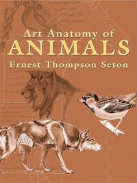bokomslag Art Anatomy of Animals