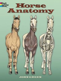bokomslag Horse Anatomy Coloring Book