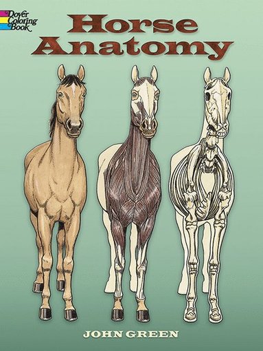 bokomslag Horse Anatomy Coloring Book
