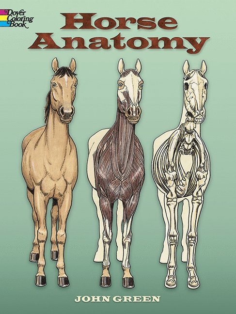 Horse Anatomy Coloring Book 1