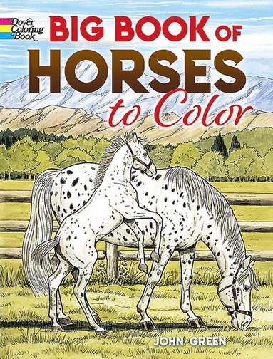 bokomslag Big Book of Horses to Color